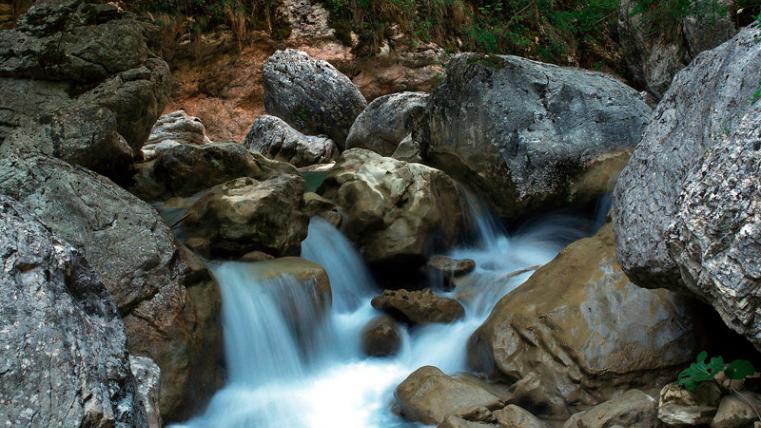 Foto Maurizio Anselmi
