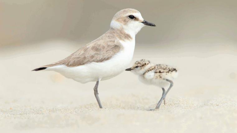 ghghghghhghgghghghghghghghhgghghghghgh