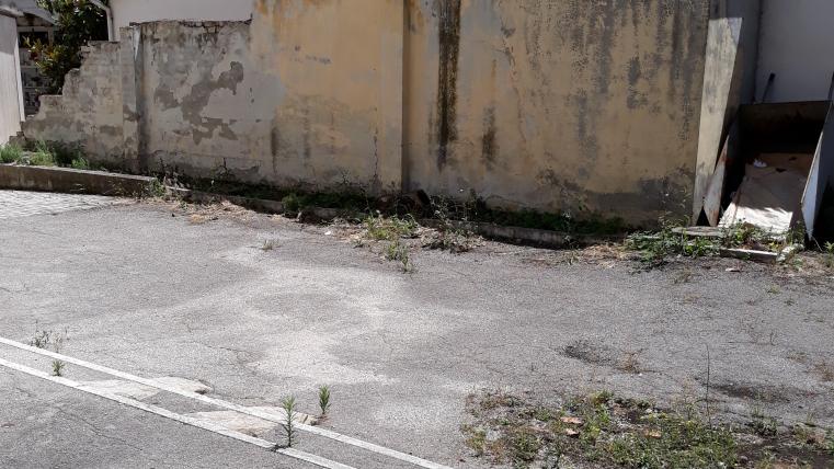 cimitero