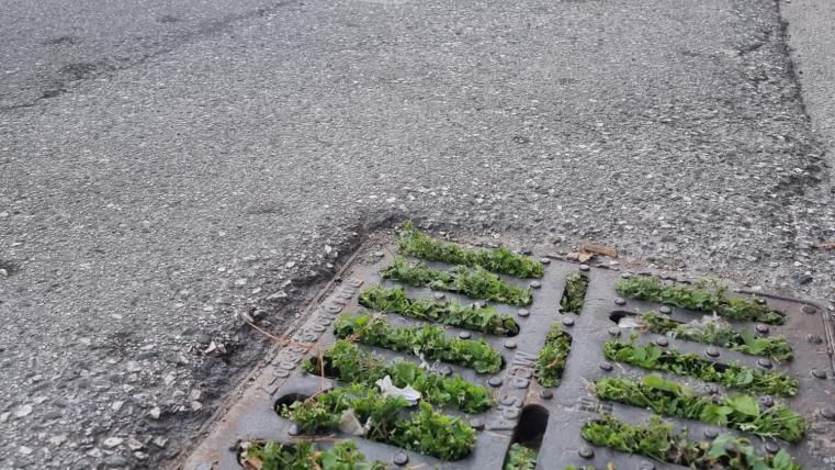 fdfdfdfdfdfdfdfdfdfdfdfdfdfdf