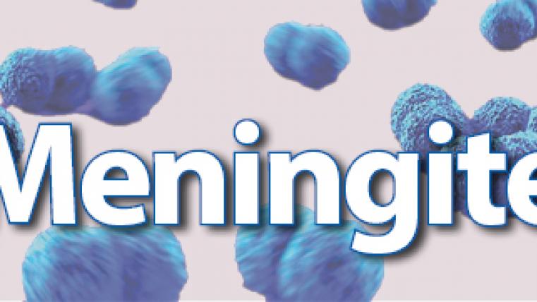 meningite