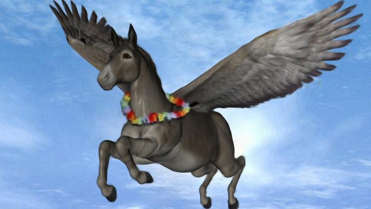 asini che volano