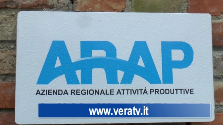 arap