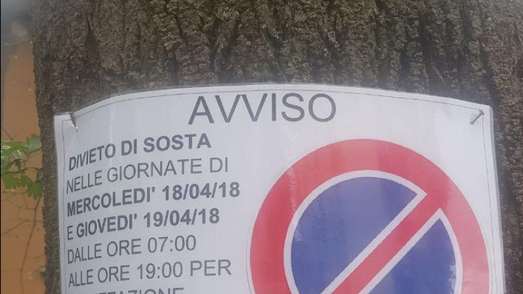 albero