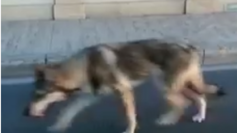 rttttr