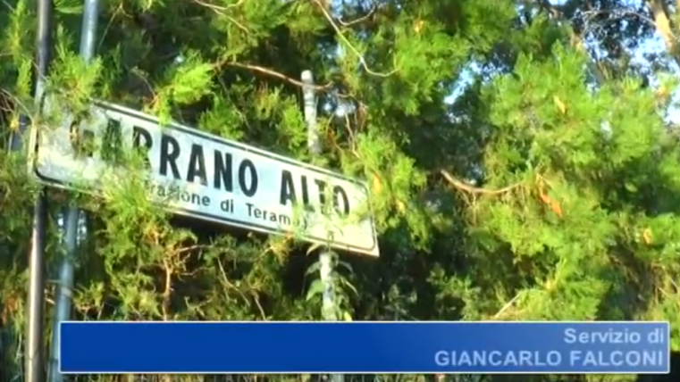 Garrano