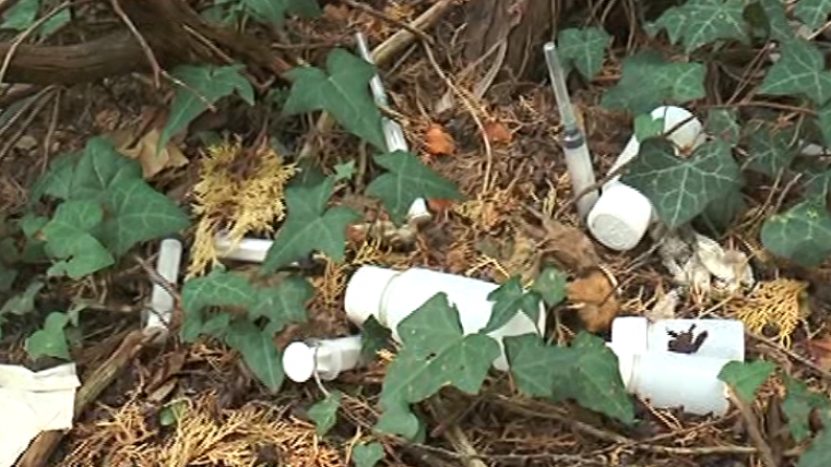 65tytrytrytytytytytytytytty