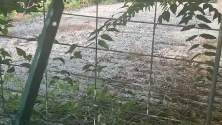 gfggfgfgfgfgfgfgfgfgfgfgfgfgfgfgfgfgfgfgfgfgfgffgfgfgfg