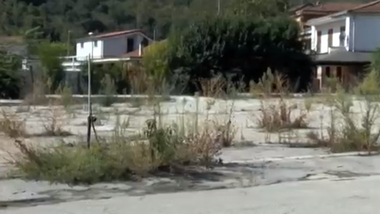 fgfgfg