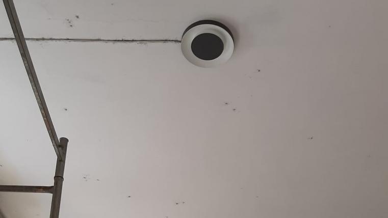 fgfgfgfgfgfgfgfgfgfgf