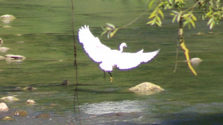 lungo fiume 