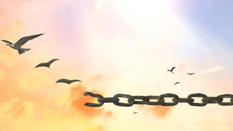 libertà
